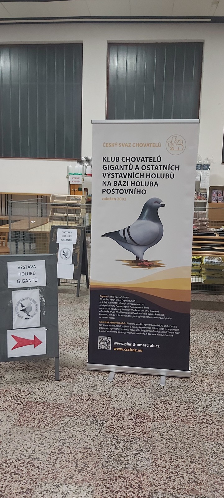 Speciální výstava holubů Gigant