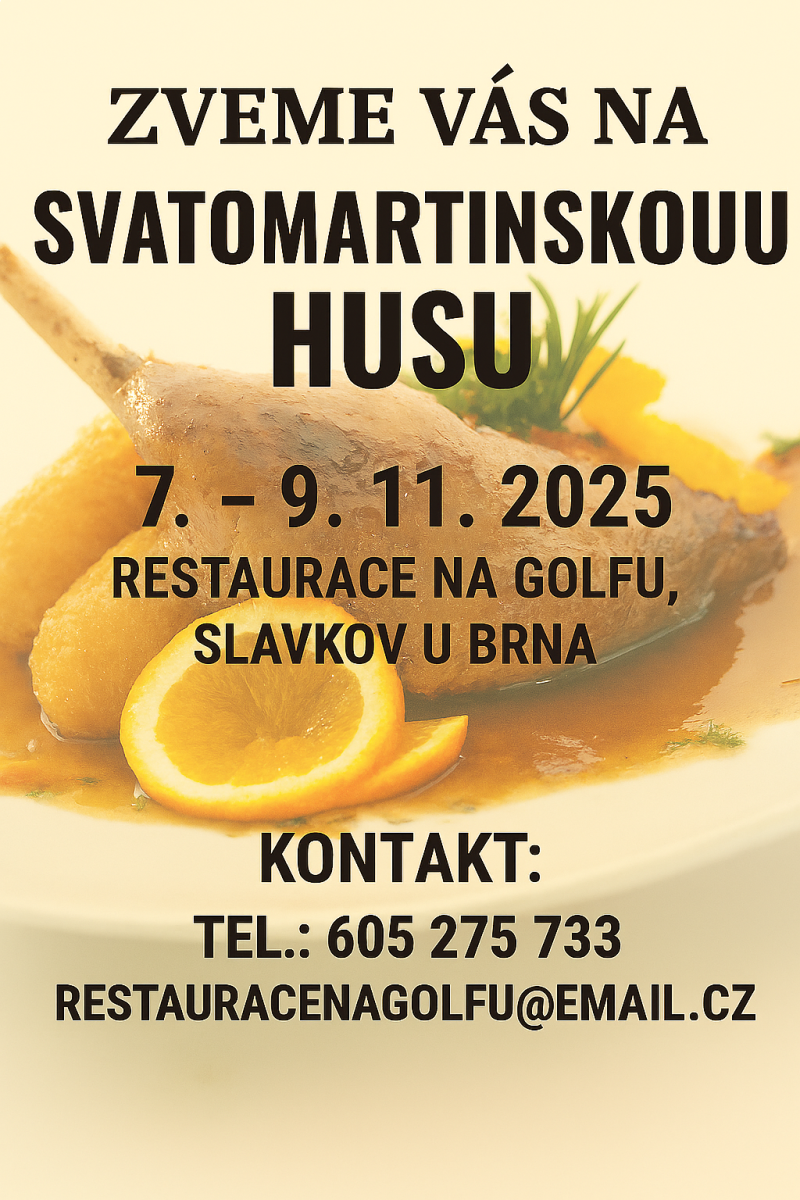 Svatomartinská husa