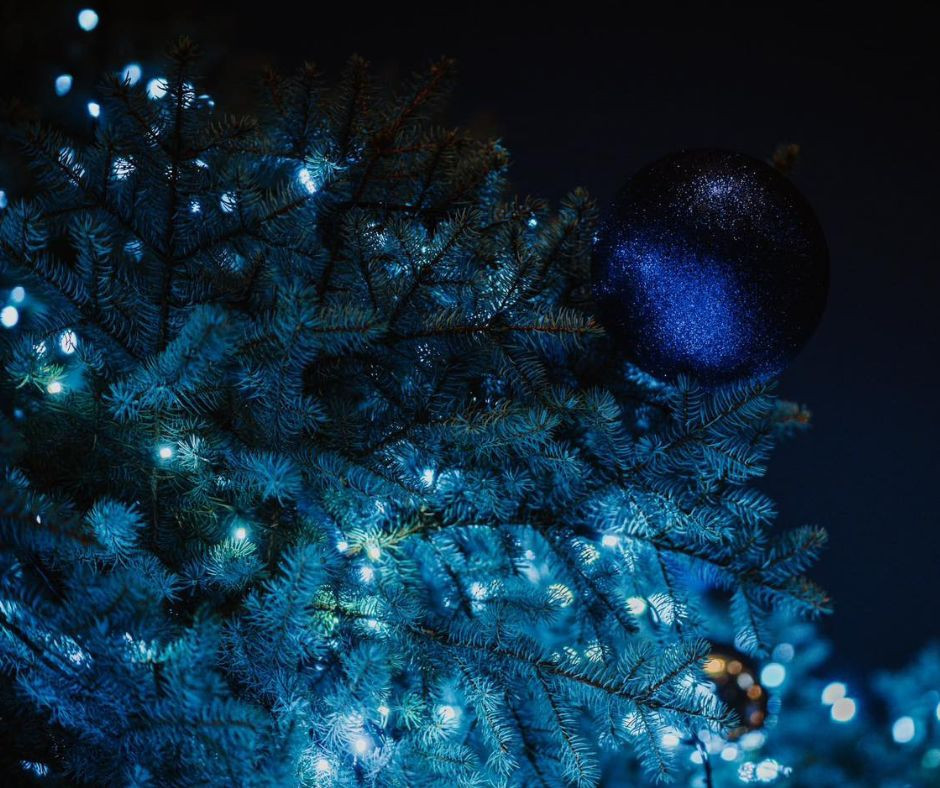 Výstava Vánočních stromků