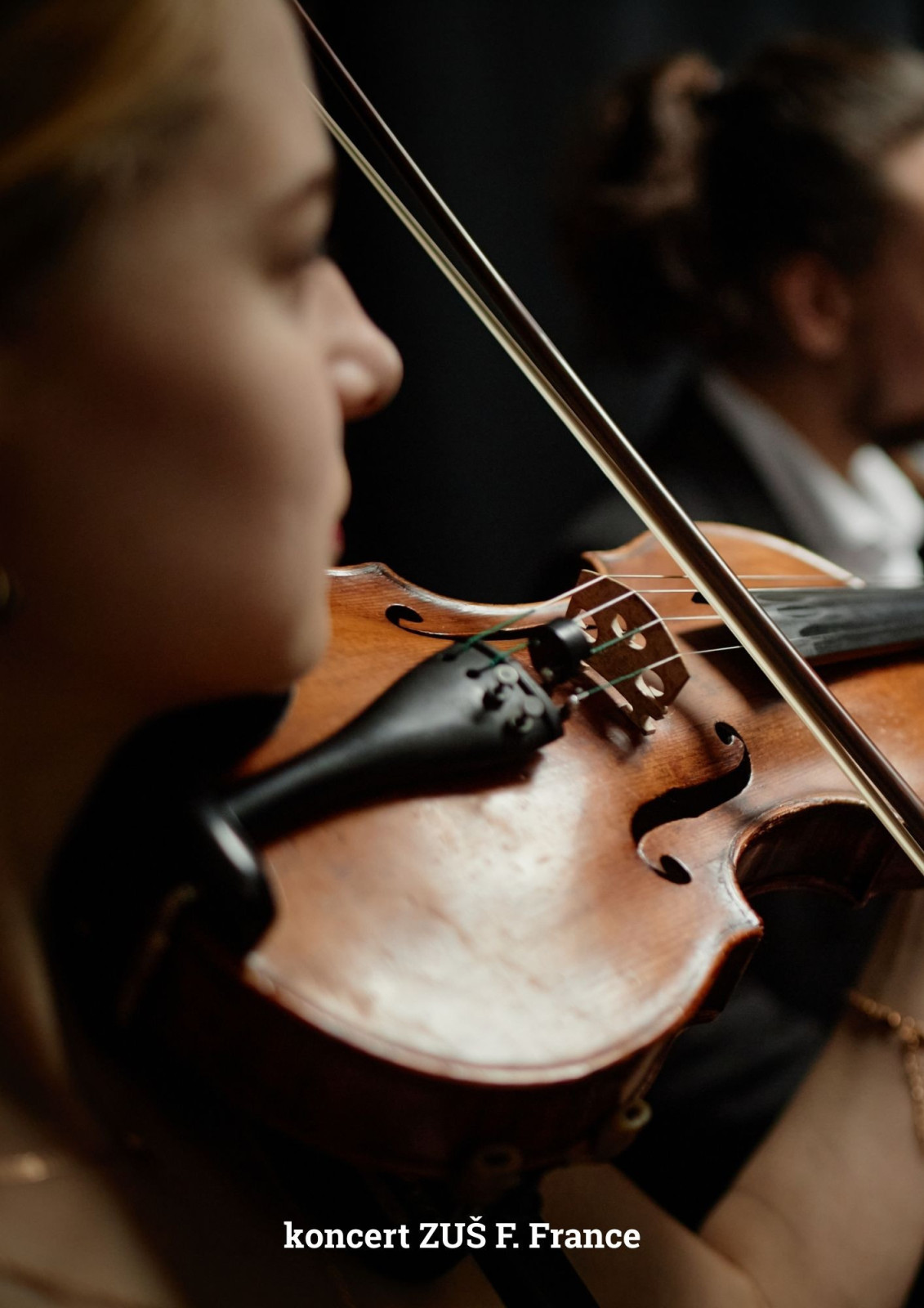 Koncert ZUŠ Františka France