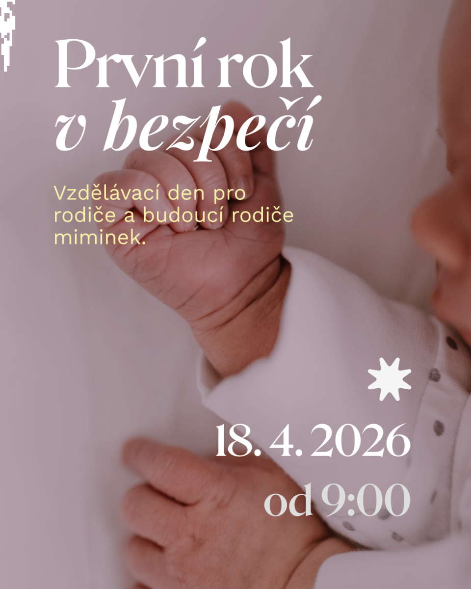 PRVNÍ ROK V BEZPEČÍ