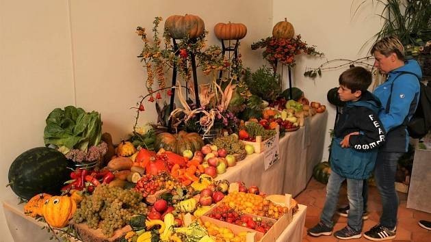 Kilové brambory i nádherná jablka. To byla výstava ovoce a zeleniny ve Slavkově