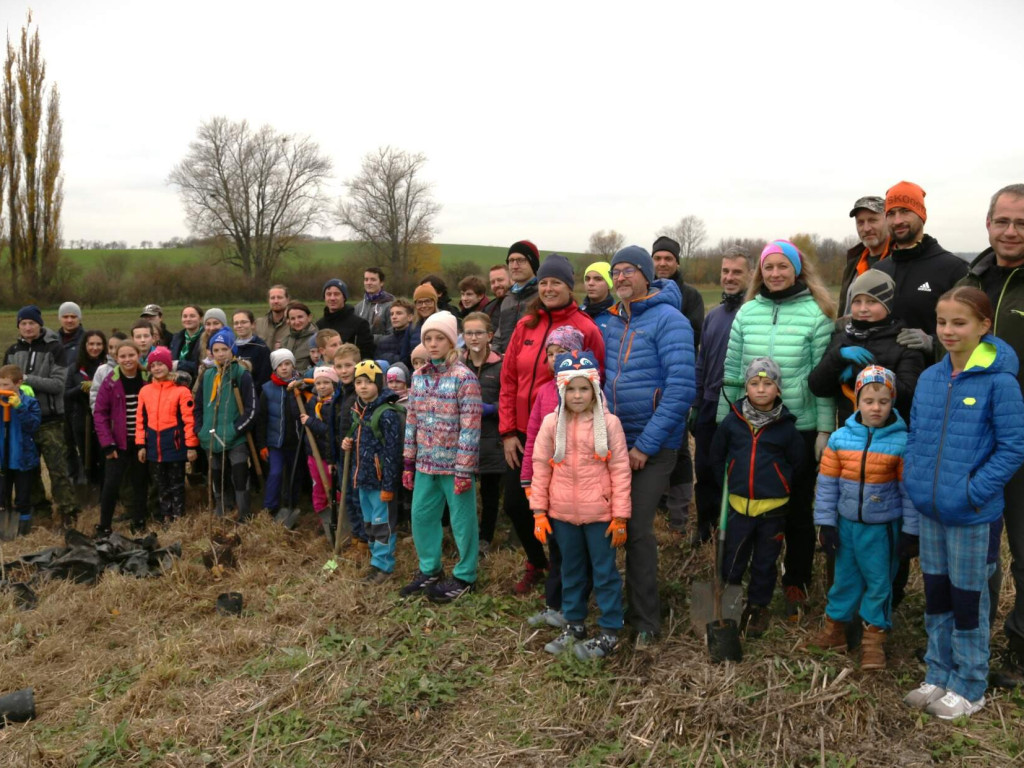 Skauti a myslivci pokračují ve výsadbě biokoridoru u Vážan