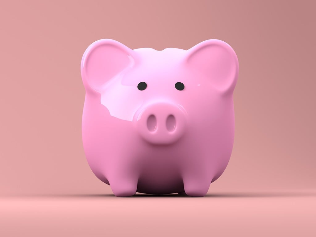 Rozpočet jako základ správy a rozvoje