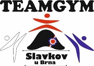 Logo - TeamGym