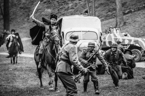 Příběh netradičních osvoboditelů: I Slavkov si připomene osud tisíců mrtvých koní bojujících za konec války.