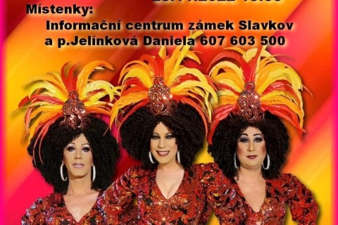 Oblíbená travesti skupina Divoké kočky míří opět do Slavkova!