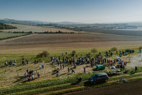 Šedesát nejmenších Slavkováčků přivítáno. Každý má svou třešeň nebo slivoň.